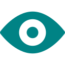Vision Icon